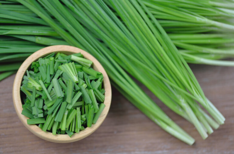 Fresh chives