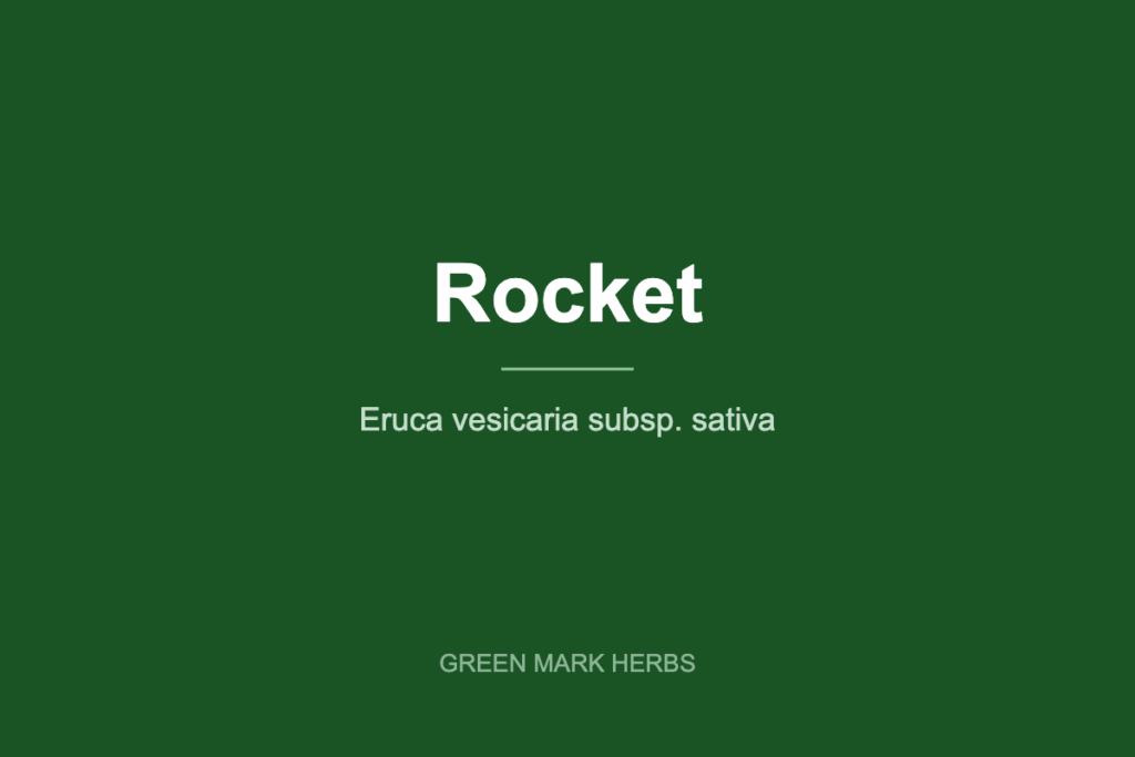 Rocket (arugula), Eruca vesicaria subsp. sativa