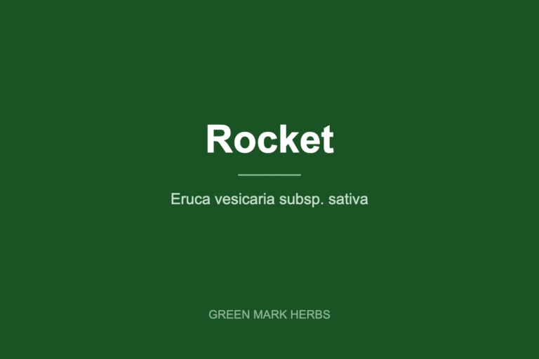 Rocket (arugula), Eruca vesicaria subsp. sativa
