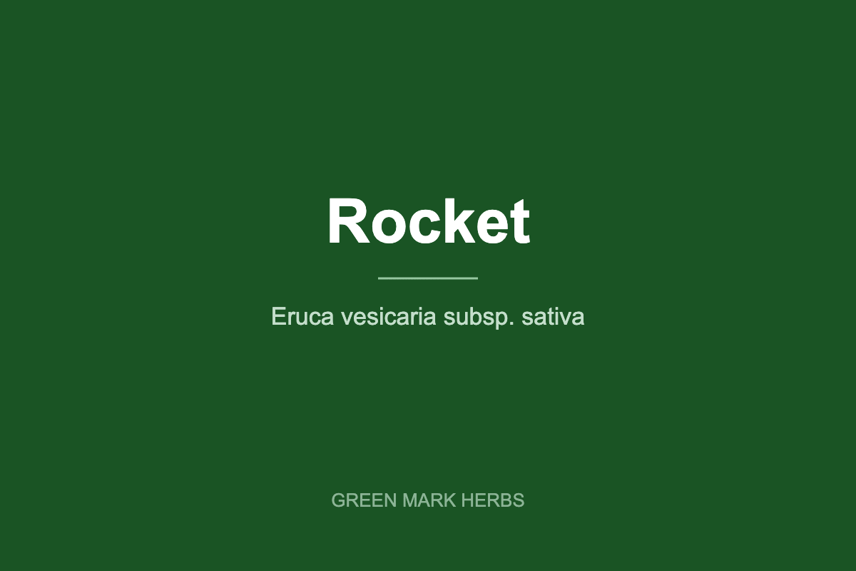 Rocket (arugula), Eruca vesicaria subsp. sativa